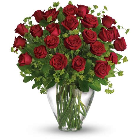 Free photo: Red Roses - Fresh, Rose, Red - Free Download - Jooinn