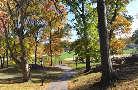 Peak Fall Foliage Map | Central Park Conservancy in 2022 | Foliage map, Fall foliage map, Fall ...