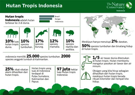 Apa Itu Infografis Dan Contohnya