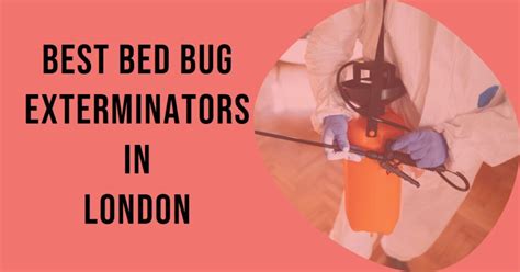 "5 Best Bed Bug Exterminators in London: Your Ultimate Guide to Pest-Free Living"