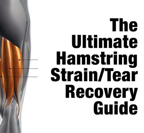 The Ultimate Hamstring Strain / Tear Recovery Guide - Kabuki Coaching ...