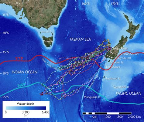 Overview of the southern tasman sea bathymetry and important geographic ...