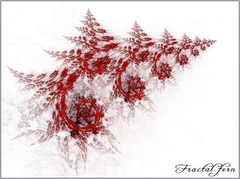 Fractal fern. by szamanus on DeviantArt