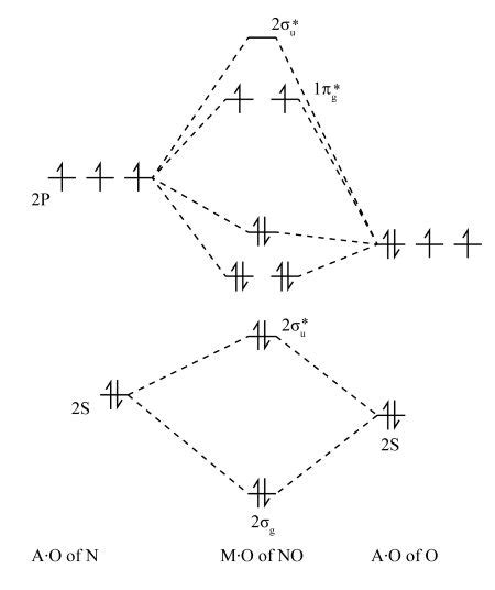 a) Calculate and display the molecular orbitals of NO-. Show how the ...