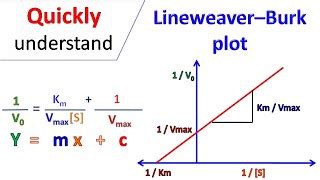 Advantages of Lineweaver Burk Plot - AngelinaqoChurch