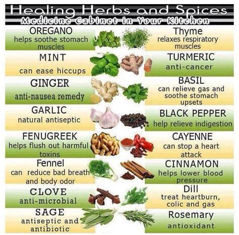 Good to know | Healing herbs, Herbs, Healthy spice