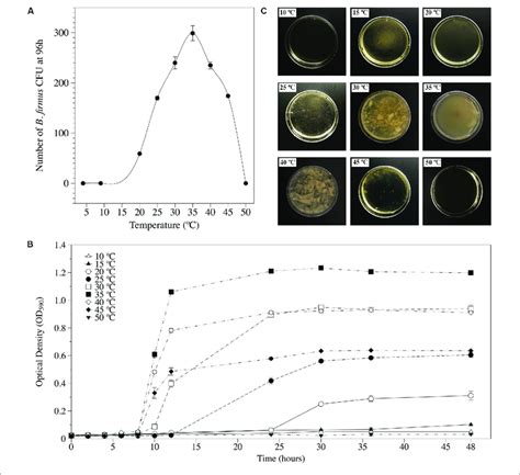 | Cardinal temperatures for Bacillus firmus I-1582 growth and biofilm ...