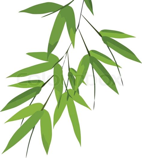 Bamboo leaves, vector | Stock vector | Colourbox