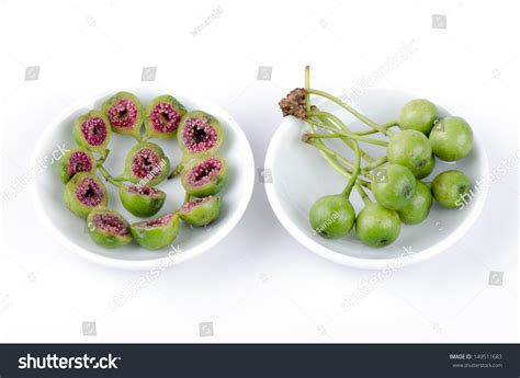 Cluster Fig Tree, Goolar, (Gular), Fig, (Ficus Racemosa). Stock Photo ...