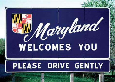 Wholesale Flowers Maryland – 6 Things You Probably Don’t Know About MD ...