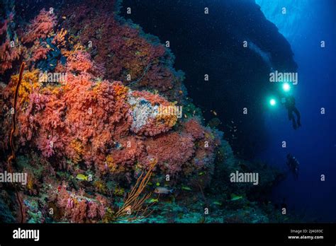 Coral reef scenery Stock Photo - Alamy