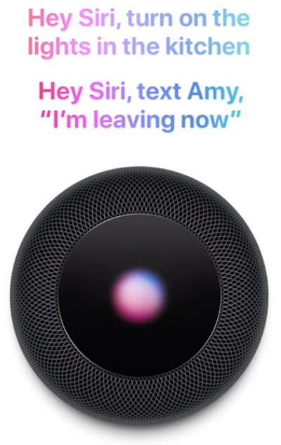 Siri on HomePod Asked 800 Questions and Answered 74% Correctly vs. Just ...