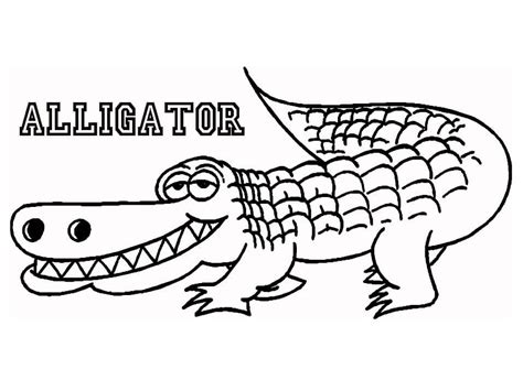 Printable Alligator coloring page - Download, Print or Color Online for Free