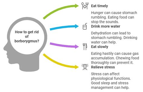 Borborygmus: Definition, Causes, & How to Get Rid of It - Allfit Well