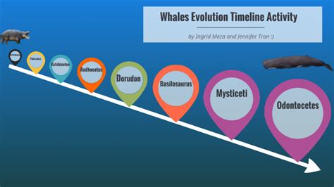 Whales Evolution Timeline by Jennifer Tran on Prezi