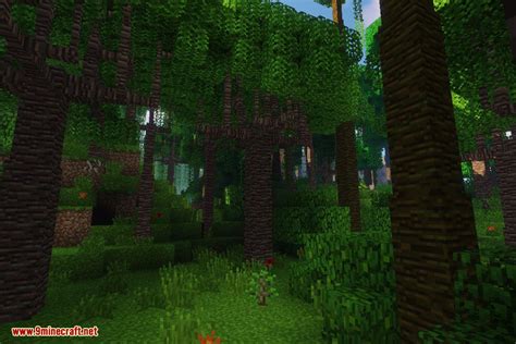 Dynamic Trees Biomes O' Plenty Compat Mod (1.21.1, 1.20.1) - 9Minecraft.Net