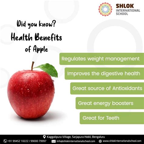 Human Benefits of APPLE in 2020 | Apple health benefits, International ...