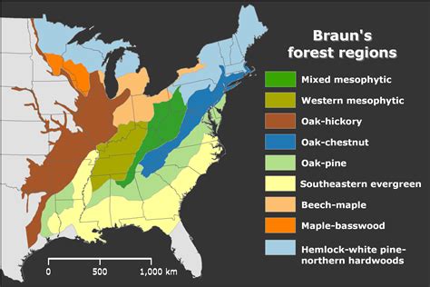 Map Of Us Forest Regions - United States Map