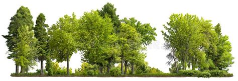 245,551 Tree Line Stock Photos - Free & Royalty-Free Stock Photos from Dreamstime