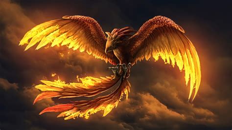 HD wallpaper: bird of prey, fire, Fly | Phoenix wallpaper, Phoenix artwork, Phoenix bird art