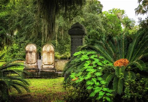 Bonaventure Cemetery Photograph by Carolyn Derstine | Fine Art America