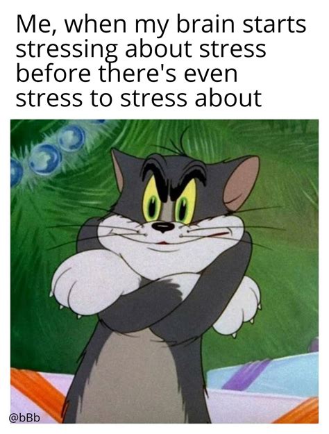 Stressed about lack of stress : r/memes