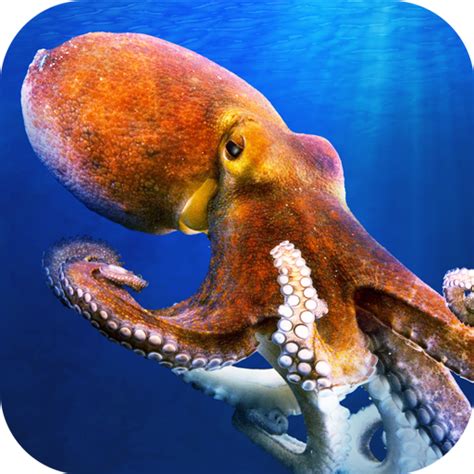 Ocean Octopus Simulator - try new sea animal simulator! - App on Amazon ...