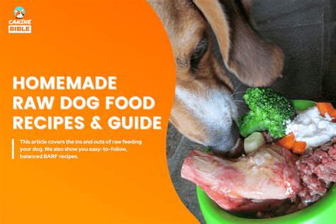 Dog Food Ingredients To Avoid