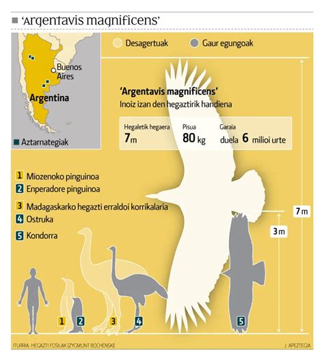 Argentavis Magnificens - A-Z Animals