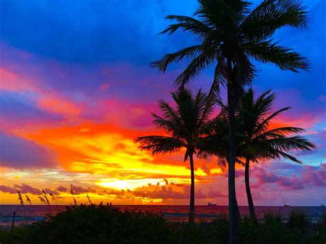 Pin by Tracy Wilson on Beach Sunrise Sunset and Palm Trees | Sunrise beach, Scenic, Sunrise sunset