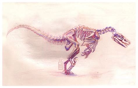 a drawing of a dinosaur skeleton running with it's head turned to the side