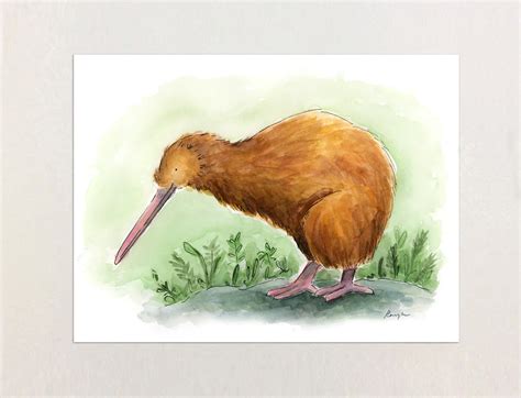 Kiwi Bird Art Print NZ Bird Original Watercolor Painting - Etsy