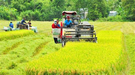 Vietnam village life: Guide to exploring the local routines