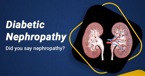 How can Diabetes cause Nephropathy? - Star Health