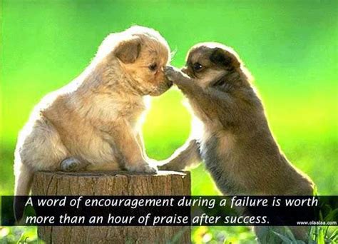 Piyush Avlani Motivational Thoughts : Even animal can understand ...