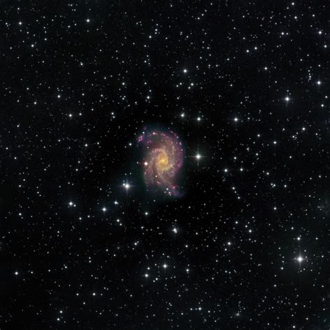 NGC 2835 Pro Data Set | Telescope Live