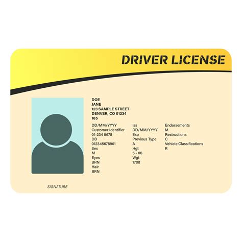 14 Best Drivers License Printable Template - printablee.com