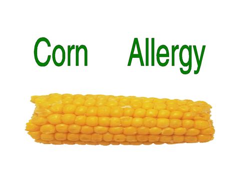 Free Posters and Signs: Corn Allergy