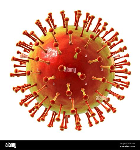 Virus, computer illustration Stock Photo - Alamy