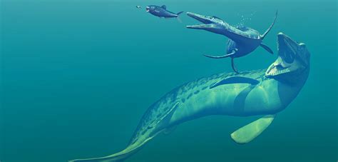 A Bite into the Past of Extinct Marine Reptiles | CNRS News