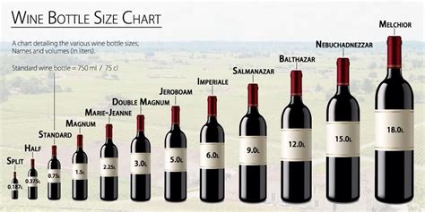 Julien Miquel #Wine (@JMiquelWine) | Twitter | Wine bottle sizes, Wine chart, Magnum wine bottles