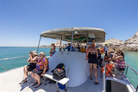 Top 8 Activities in Puerto Peñasco, Mexico | Rocky Point Activities Guide