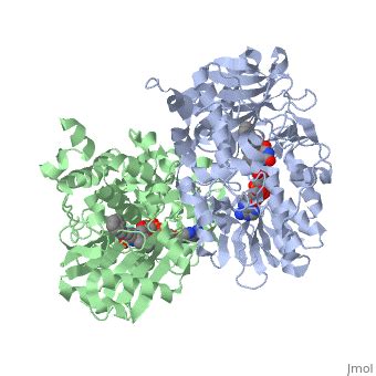 Monoamine oxidase b - Proteopedia, life in 3D