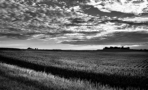 Iowa Cornfield At Sunset Photograph by Mountain Dreams - Fine Art America