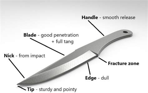 Best Throwing Knives for Beginners [2024]