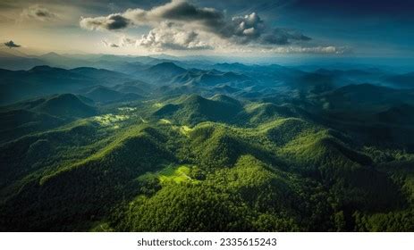 Aerial Top View Forest Tree Rainforest Stock Photo 2335615243 ...