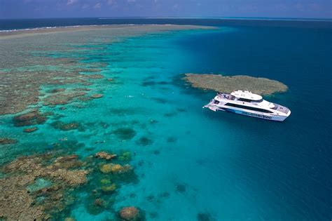 Port Douglas Reef Tours