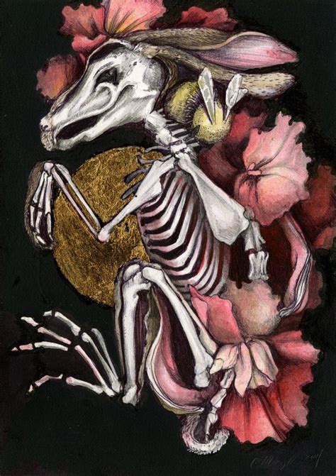 Hare Skeleton - Modern Eden Gallery