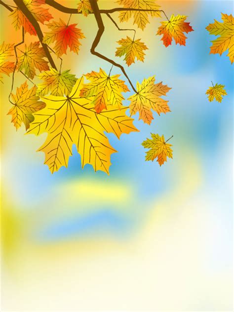 Fall of maple leaf elements background vector Vectors graphic art ...