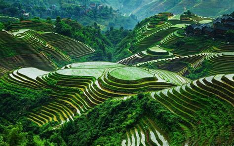 Top the 5 Most Breathtaking Terrace Fields in Southeast Asia